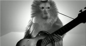 MONKEY GUITAR