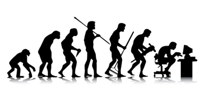 Human – business evolution