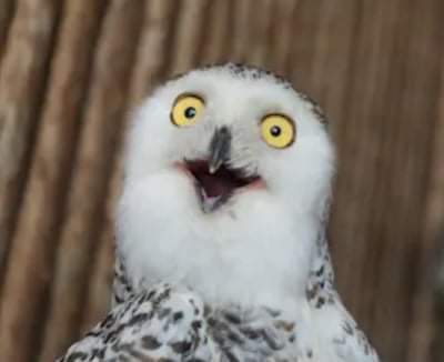 FB_IMG_1575504430665